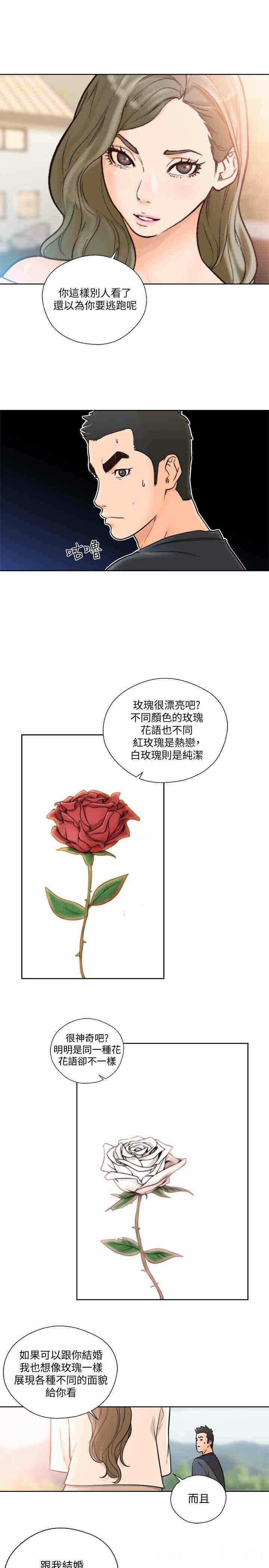 第29张