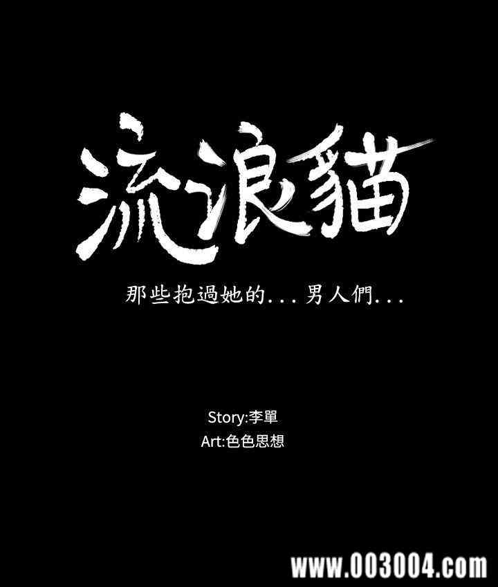 第3张