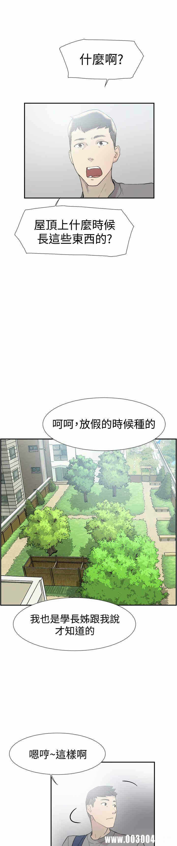 第13张
