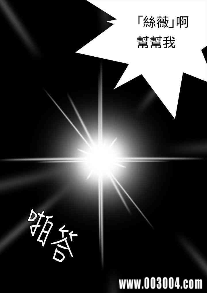 第5张