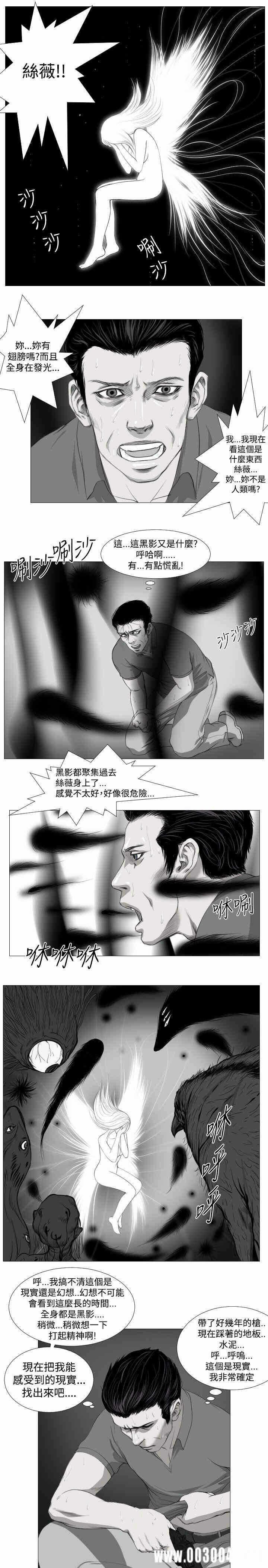 第11张