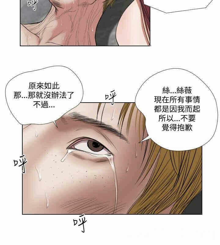 第6张
