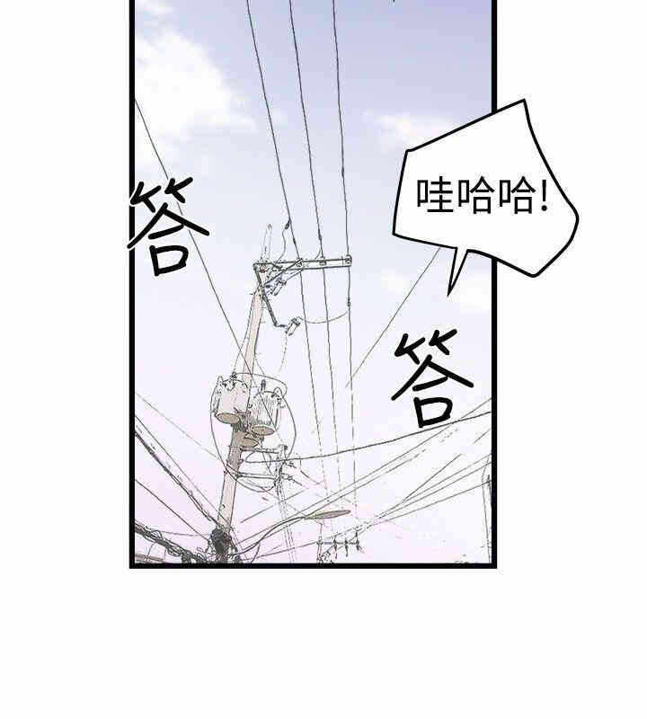 第24张