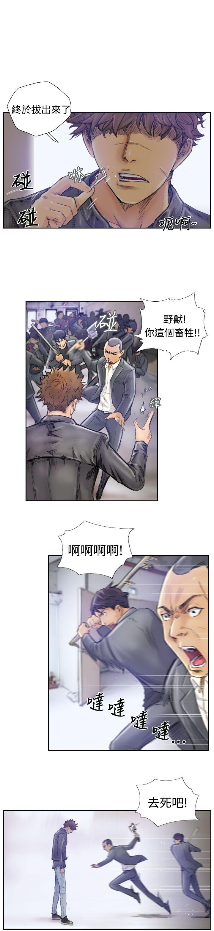 第3张