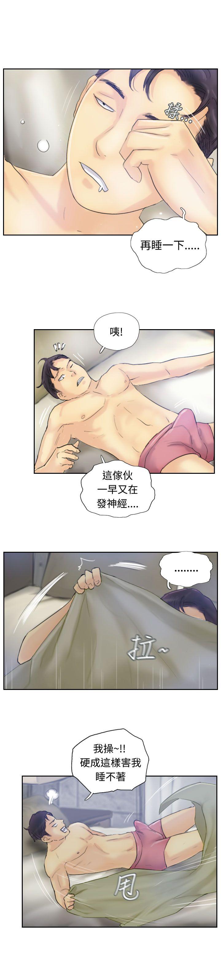 第7张