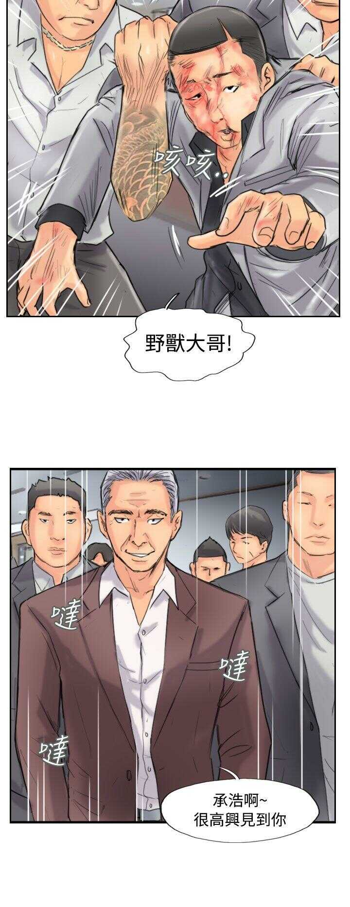 第20张