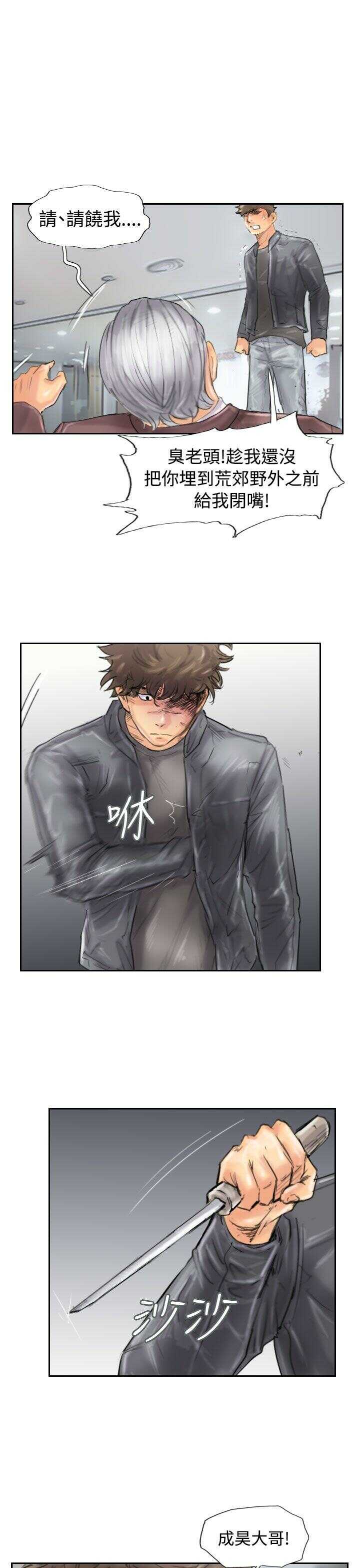 第11张