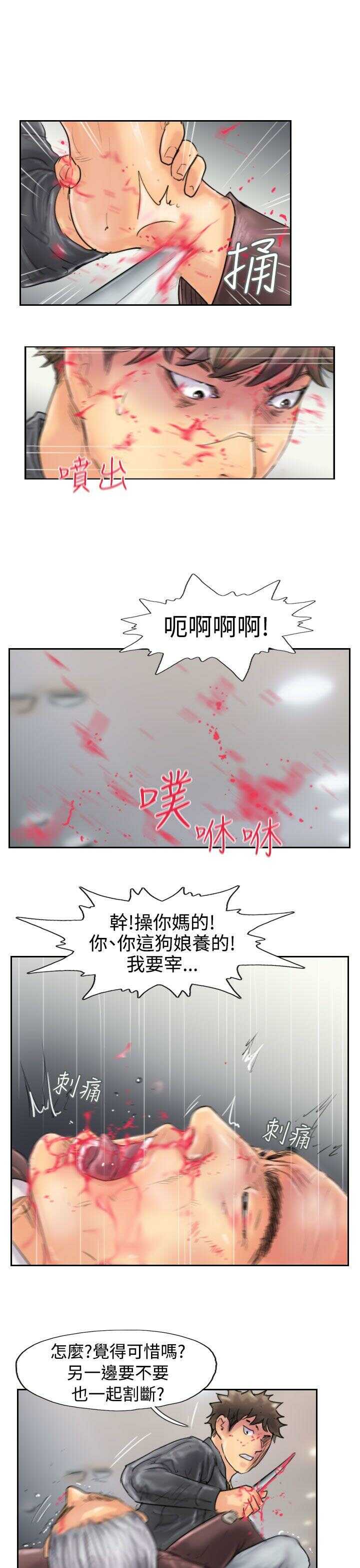 第17张