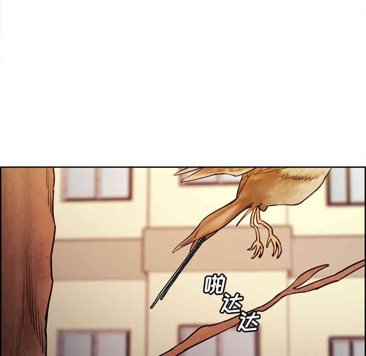 第55张