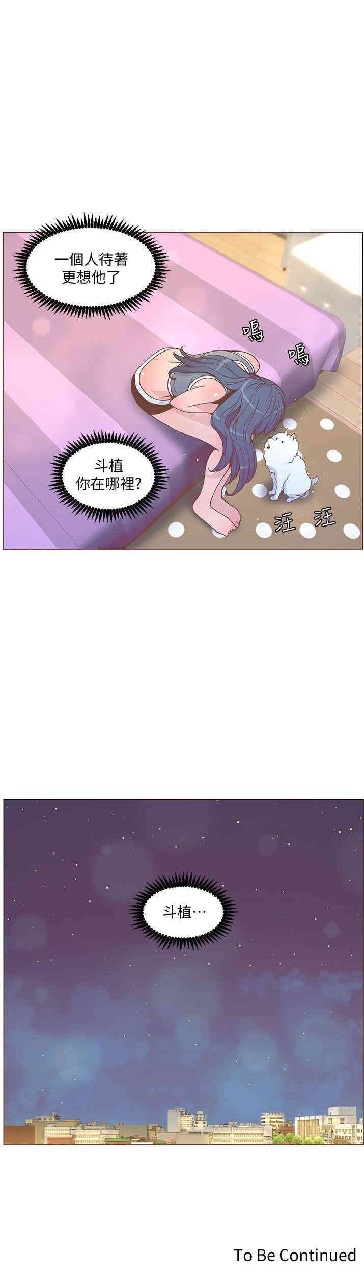 第23张