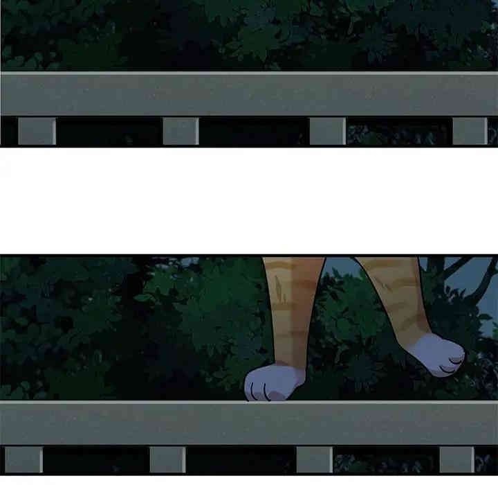 第14张