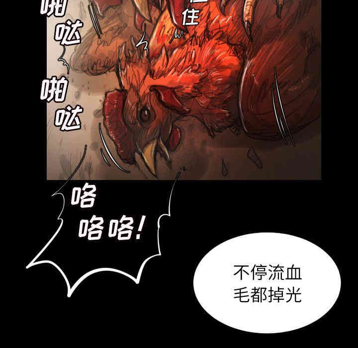 第47张
