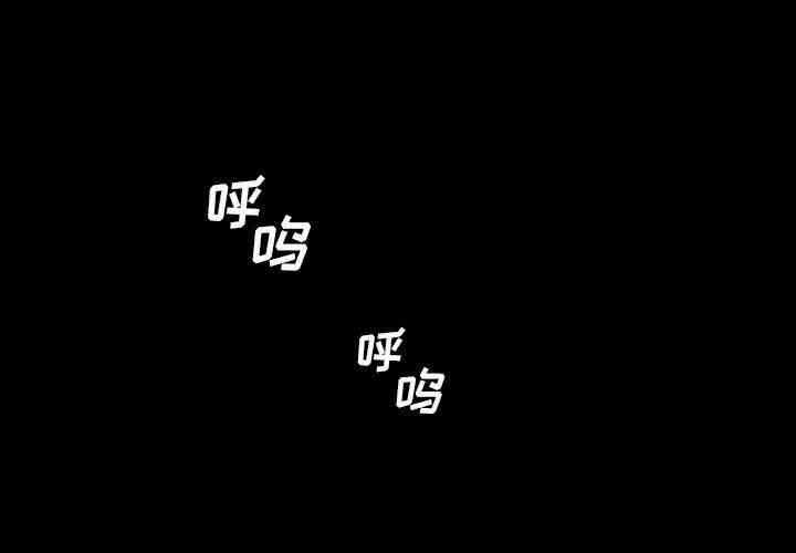 第8张