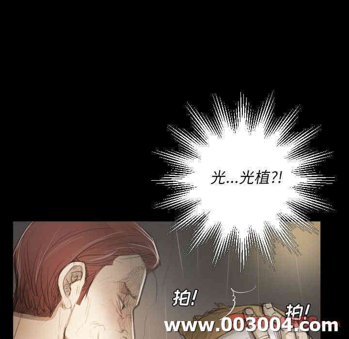 第29张