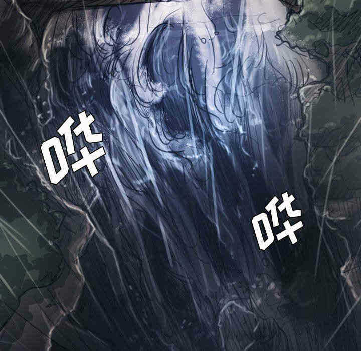 第12张