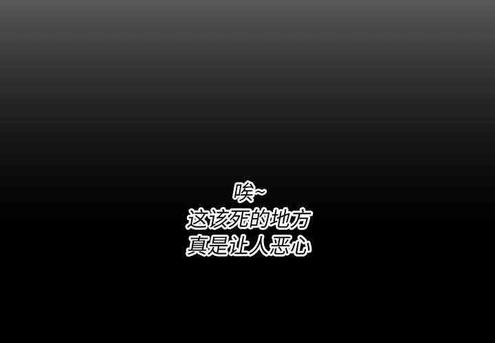 第3张