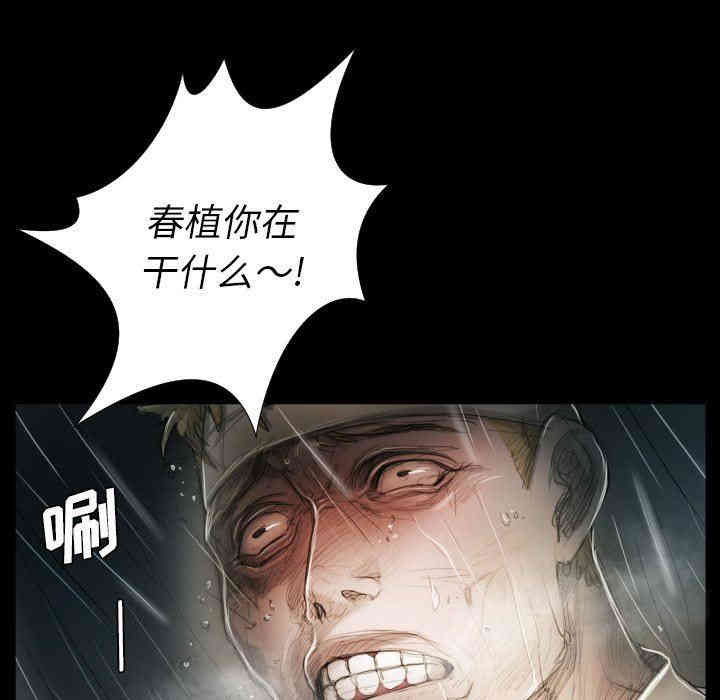 第6张