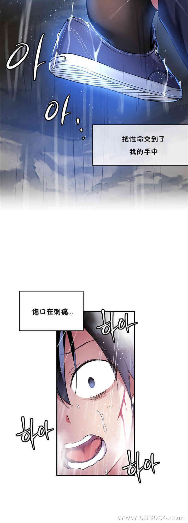 第23张