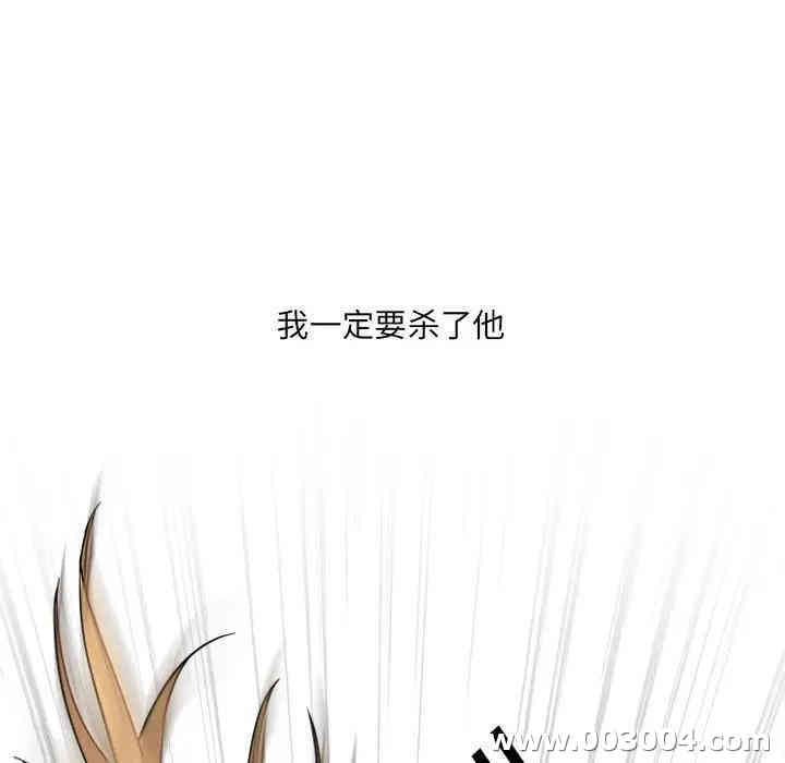 第3张