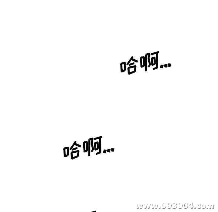 第41张