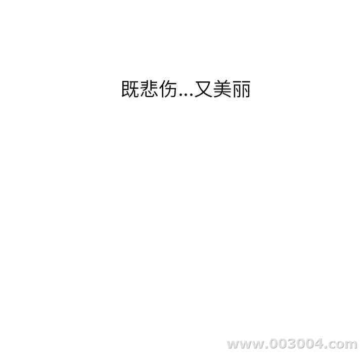 第64张