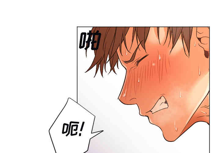 第5张