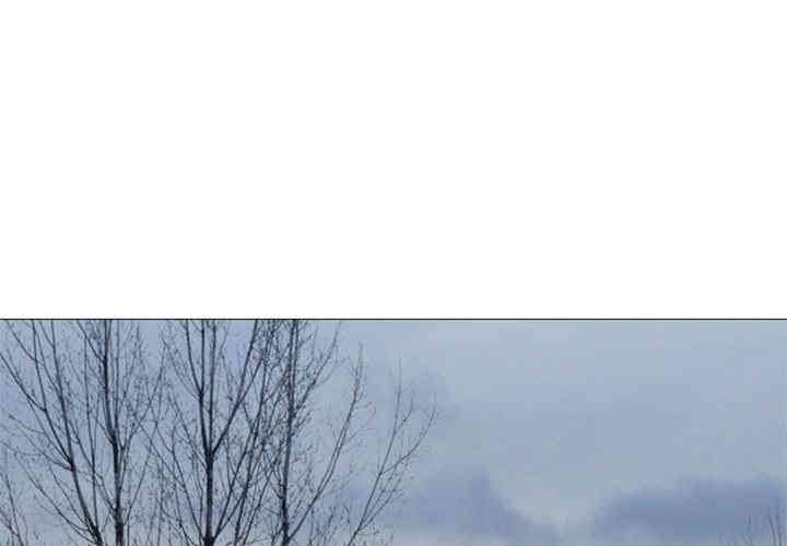 第1张