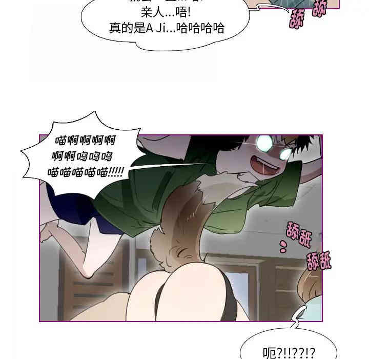 第22张