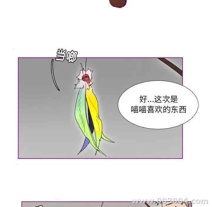第24张