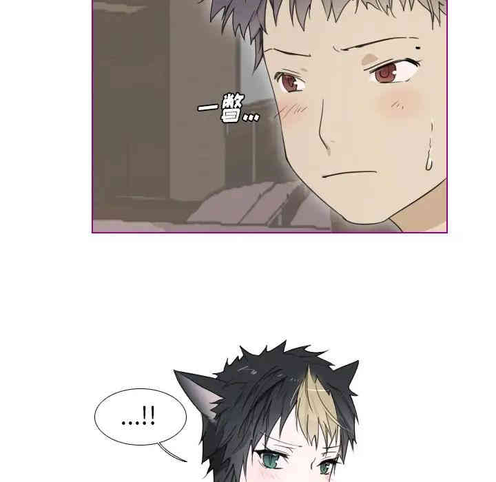 第31张