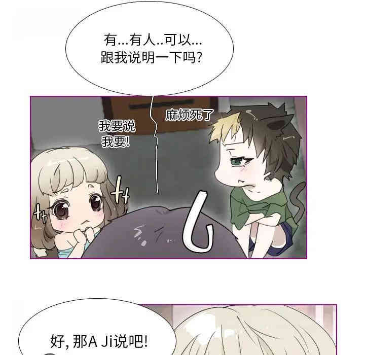第41张