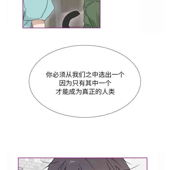 第45张