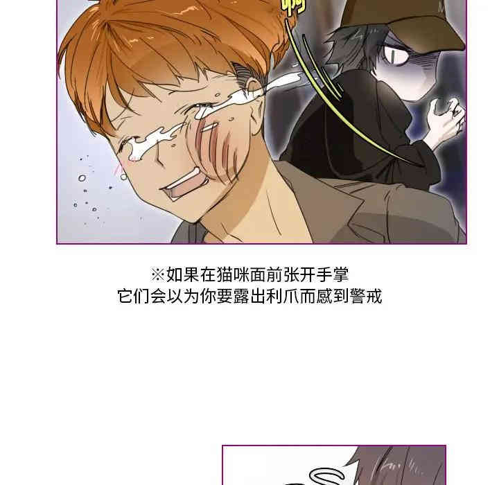 第37张