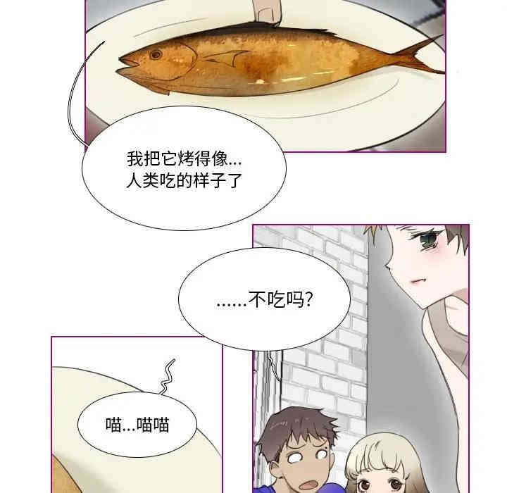 第20张