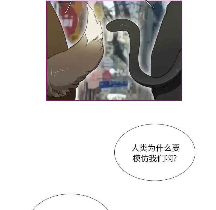 第38张