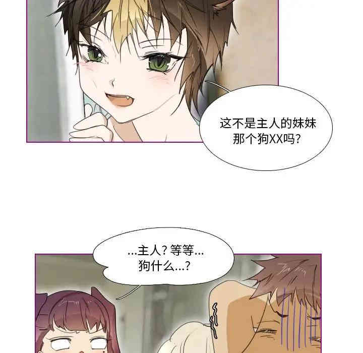 第19张