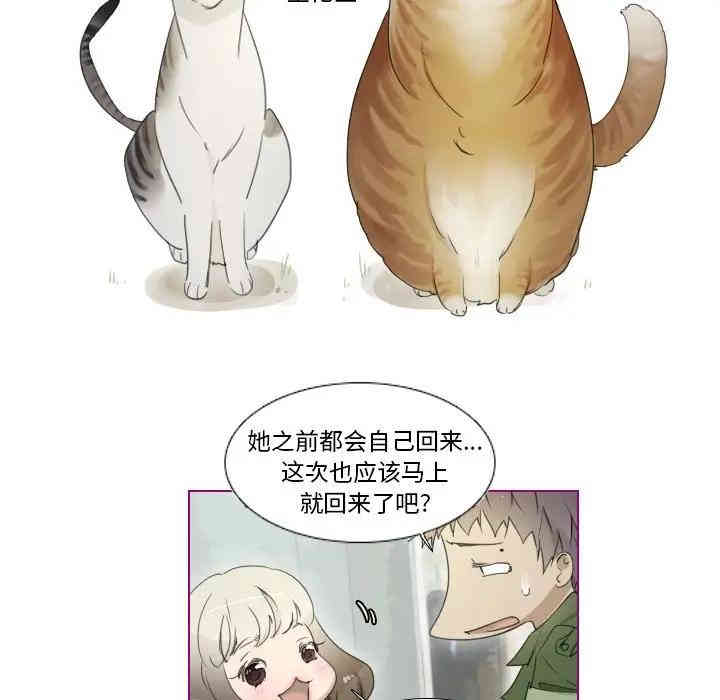 第21张