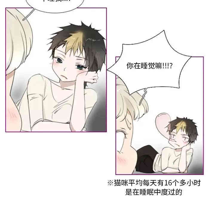 第22张