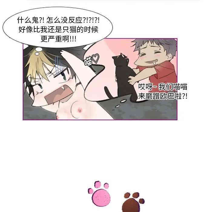 第29张