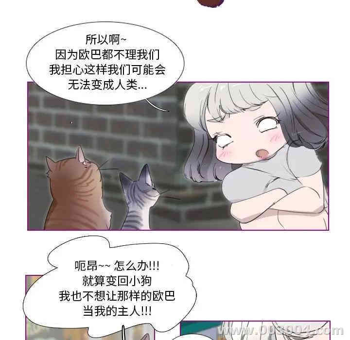 第30张