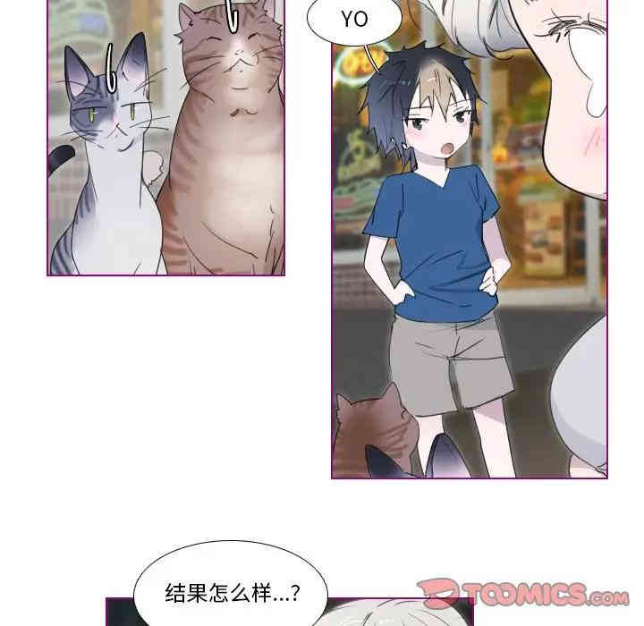 第31张