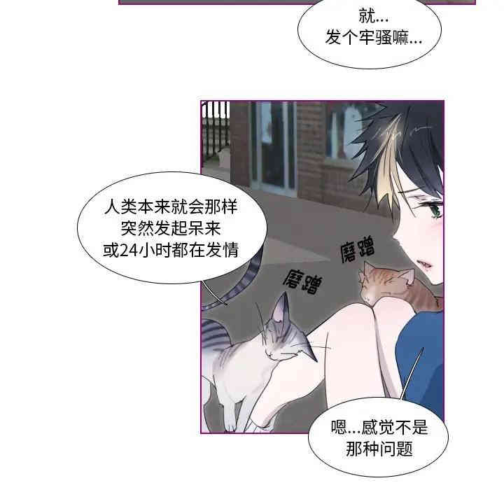 第33张