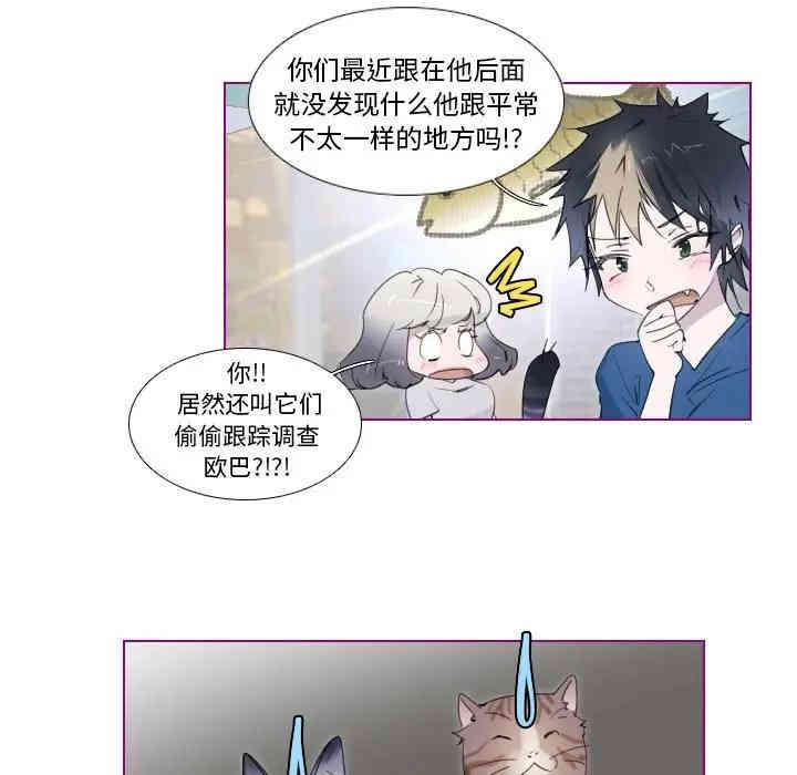 第34张
