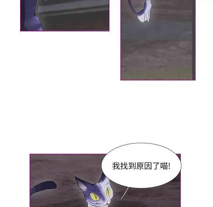 第32张