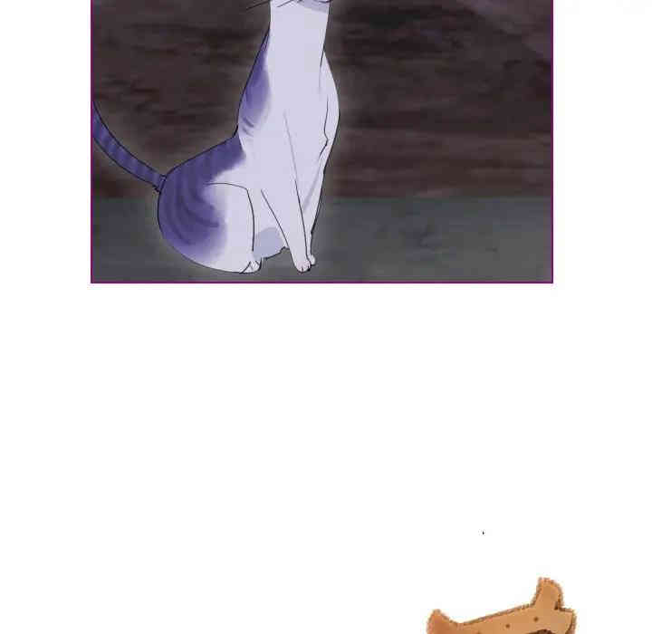 第33张