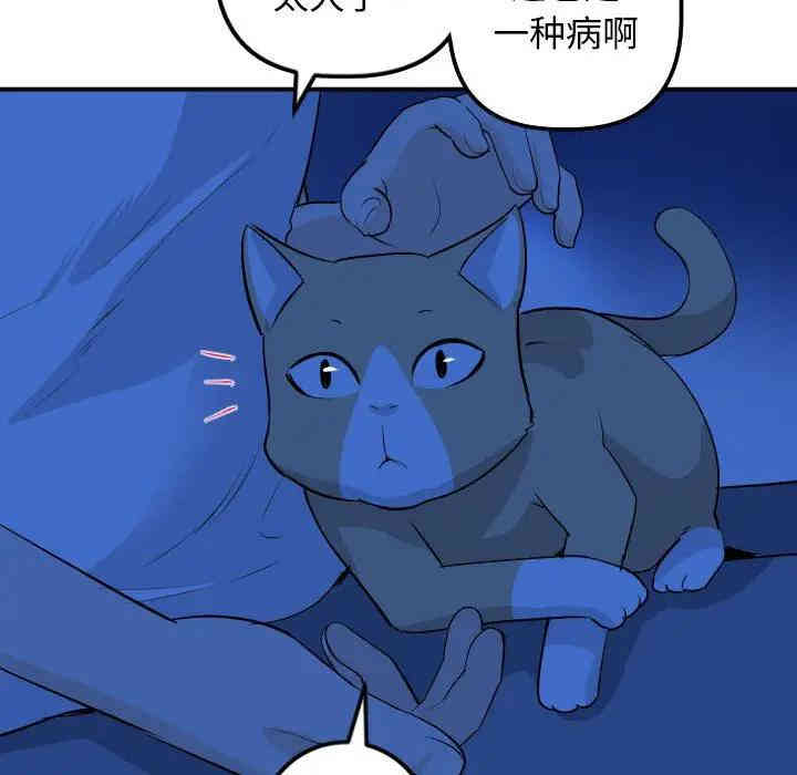 第47张