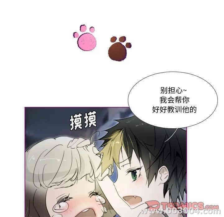 第19张