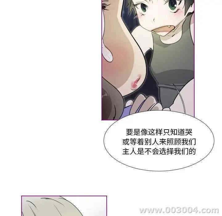 第21张