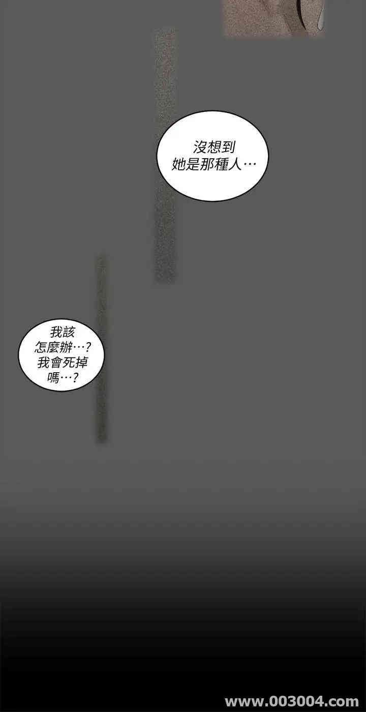 第29张