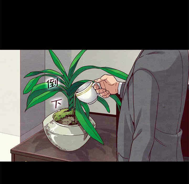 第6张